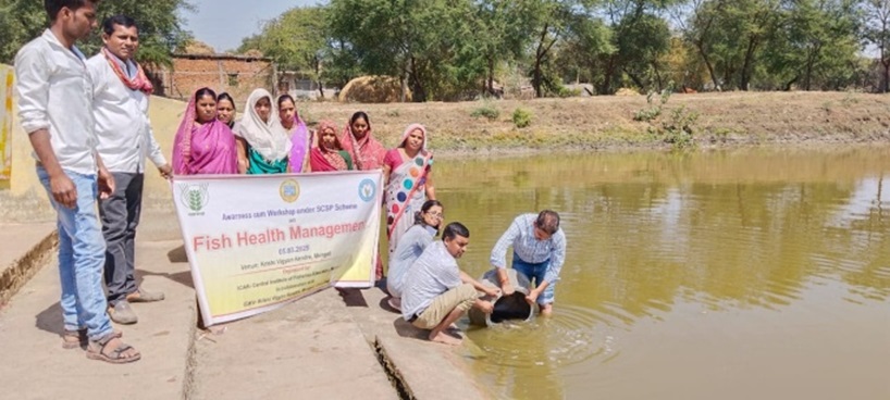 training report-awareness cum workshop programme-hi-en-25-3-2025